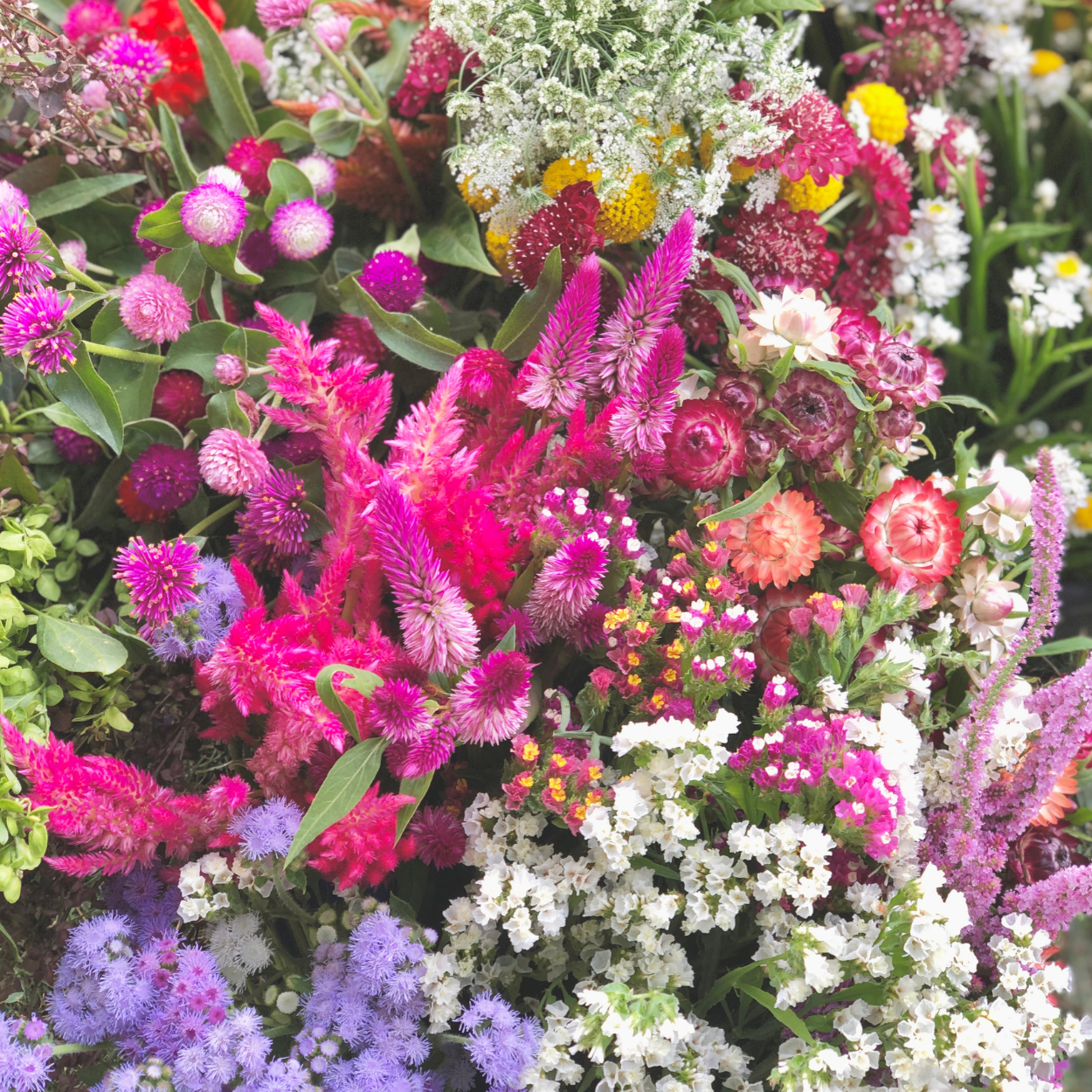 2024 Flower CSA - Flexible Bouquet Subscription