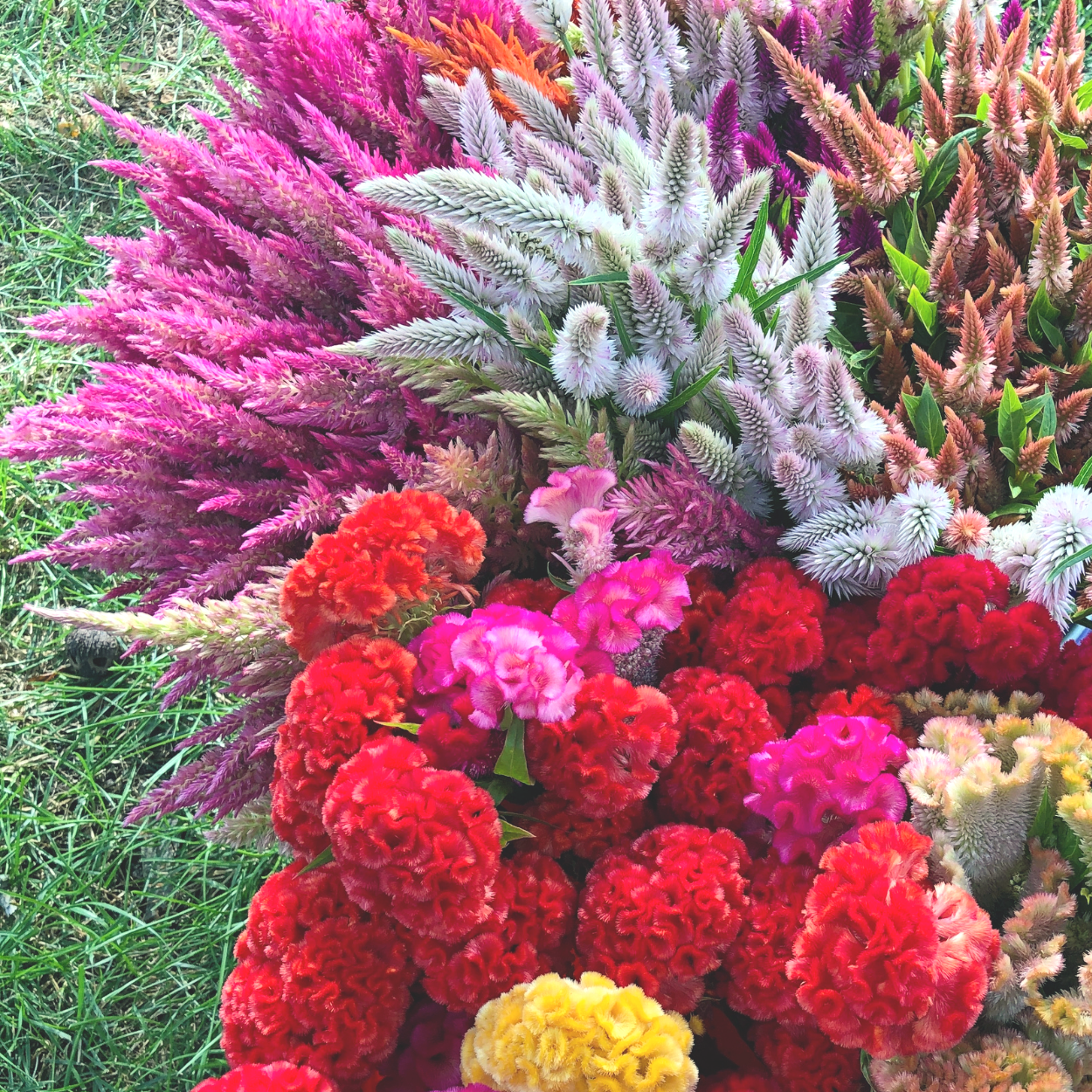 2024 Flower CSA - Flexible Bouquet Subscription