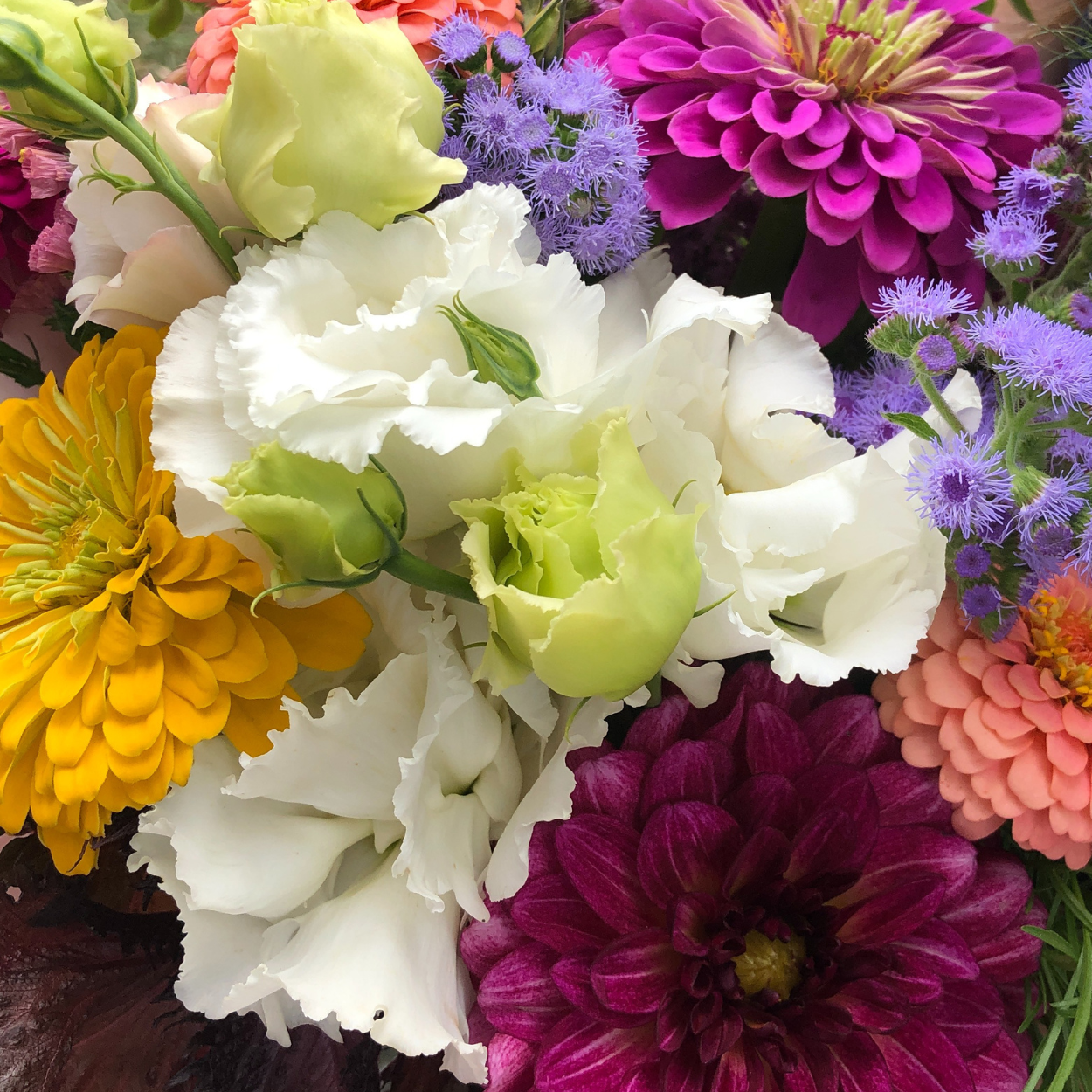 Fresh Flower Bouquets - Seasonal